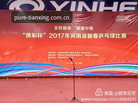 天行体育官网 vs 传统体育资讯：谁更懂玩家的真实需求？